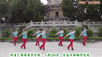 杨艺广场舞视频教学与欣赏草原绿了媞伽广场舞服装