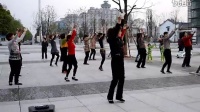 常德丁玲公园第一支舞蹈队——荷塘月色舞蹈队广场舞【格桑花儿几时开】