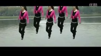 广场舞火苗16步教学-五朵花广场舞（慢三）视频 视频[标清版]