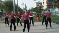 《荷塘月色》广场舞教学视频分解慢动作_标清