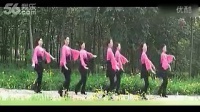 广场舞教学视频 红梅赞 舞动中原馨蕾广场舞