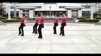 紫紫雨广场舞-红星歌