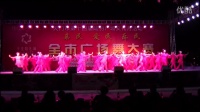 2014年天门广场舞大赛节目  薅黄瓜 火火的姑娘—开发区代表队