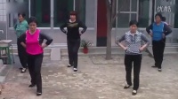 【健身广场舞】禹城市新寨苗庄村民乐广场舞 你爱了吗