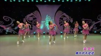 《我不做你的备胎》2014最热广场舞蹈视频教学▼凤凰香香九江向霞