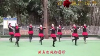 红玫瑰广场舞（原香草）_高清