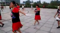 安乡林城广场舞蹈队歌在飞