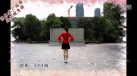 温州张林冰广场舞 原创健身舞 欢腾的草原 正反面及分解教学