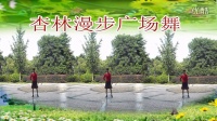 杏林漫步广场舞<<爱的期限>> 之85一 <最新广场舞2014年8月拍>