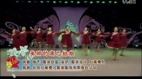 杨艺立华广场舞 《美丽的康巴姑娘》 藏族舞 厦门乐海