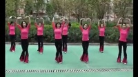 广场舞教学视频周思萍广场舞系列 荷塘月色