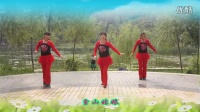 雪山姑娘 子青广场舞 （济南市锦屏家园健身队）附背面演示