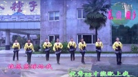 阜阳莲花贝贝广场舞-----《我是个好老婆》编舞：李洪丽