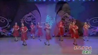 2014年第九季杨艺全民健身广场舞《花儿为什么这样红》