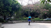 广州卡拉丽广场舞（排舞——太阳下）