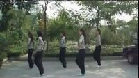 广场舞蹈视频大全 广场舞_眉飞色舞