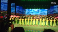 余姚马渚镇金马舞蹈队在2014宋城全国广场舞总决赛