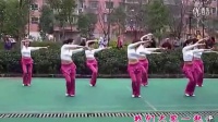 dj广场舞视频大全 大家一起来（正反面）周思萍广场舞教学