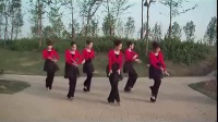 《蓝色的蒙古高原》美久广场舞教学 广场舞视频大全