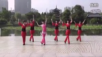 广场舞牧马少年广场舞教学视频分解慢动作.flv_高清
