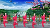 安庆小红人广场舞《健康是福》编舞立华 个人版2014（70）
