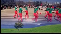 广场舞 活宝 - 广场舞视频