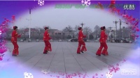 2015年天天美原创广场舞《路边的野花不要采》编舞 陈林