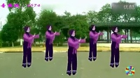 广场舞 - 粉红色的回忆（意） - 广场舞视频