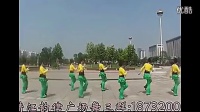 靖江韵律广场舞--自由舞(20步)对跳或单跳.mp4_标清