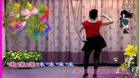 你是我的妞【DJ舞曲】美妞妞广场舞 1080P超清MV_高清