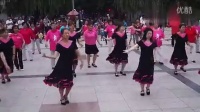 草原上的情哥哥广场舞 舞蹈最炫民族风广场舞