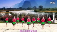 广场舞视频大全 阿里山的姑娘动作解析健身操教程