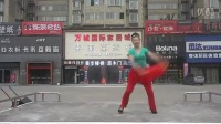 万城国际广场舞（大展鸿图）正面动作_clip