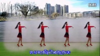 2015最新广场舞视频大全 广场舞教学 单身时代