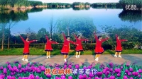 婺源惠珍广场舞2015最新视频：我在纳林湖等着你
