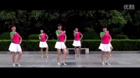 广场舞小苹果广场舞蹈视频大全 广场舞动作分解《回娘家》[超清HD]