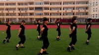 刘集南街舞蹈视频-《我从草原来》广场舞