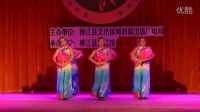 民族舞蹈《微山湖》2015年 最新 广场舞比赛舞蹈 变队