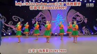 临盘立华广场舞《天上西藏》背面_标清