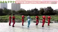 214- 动动广场舞 健身舞 原上情
