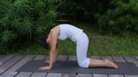 广场舞视频大全 瑜伽教程