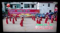 河头屋广场舞想西藏