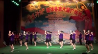 临沭县第六届广场舞大赛红石湖广场舞协会舞蹈队