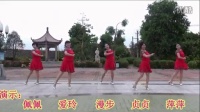中国大妈金像奖提名赛第三季 茉莉漫步广场舞《今生只爱你一个》