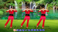 滨海新区汉沽和悦广场舞（山花朵朵开）编舞：刘荣