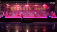 金江博艺《阿拉伯之夜》第四届紫薇花节广场舞大赛 10