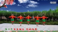 郑州市玫瑰城广场舞【我爱的姑娘在草原】正面演示  编舞：郑公子