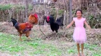 儿歌《大公鸡》儿童舞蹈-公鸡舞
