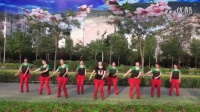 2015最新广场舞 欢声笑语飞过河 济南市锦屏家园健身队 附背面_高清