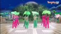 亲青广场舞《紫竹聆风》海派秧歌_广场舞视频在线观看 - 280广场舞